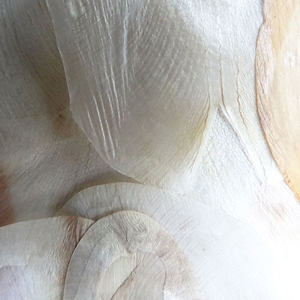 zonder titel | afmeting in overleg