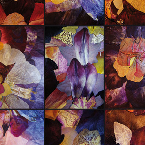 zonder titel | afmeting in overleg